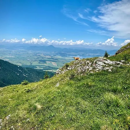 Lemadin - Ajka Apartmán